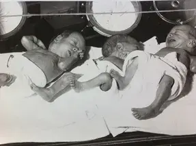 1966 triplets born